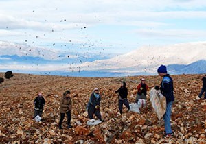 Elmalı da fidan dikim çalışmaları